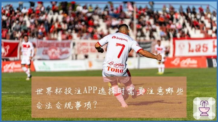 世界杯投注APP选择时需要注意哪些合法合规事项？
