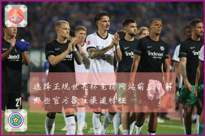 选择正规世界杯竞猜网站前应了解哪些官方投注渠道特征