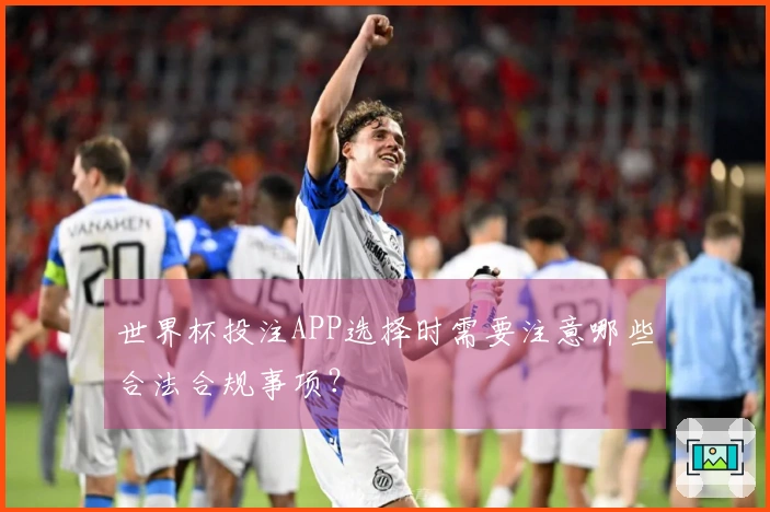 世界杯投注APP选择时需要注意哪些合法合规事项？