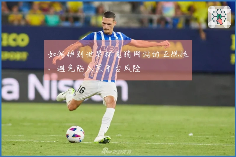 如何辨别世界杯竞猜网站的正规性，避免陷入黑平台风险