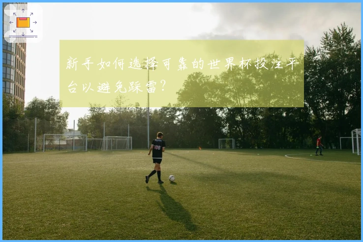 新手如何选择可靠的世界杯投注平台以避免踩雷？
